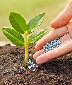 Changeons l'agriculture pour le meilleur 2